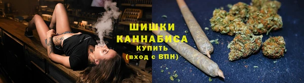 прущие грибы Беломорск