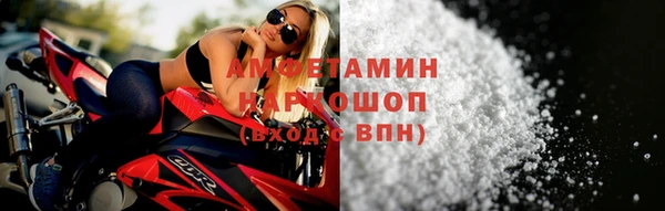 прущие грибы Беломорск
