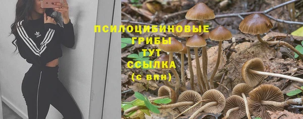 apvp Балахна