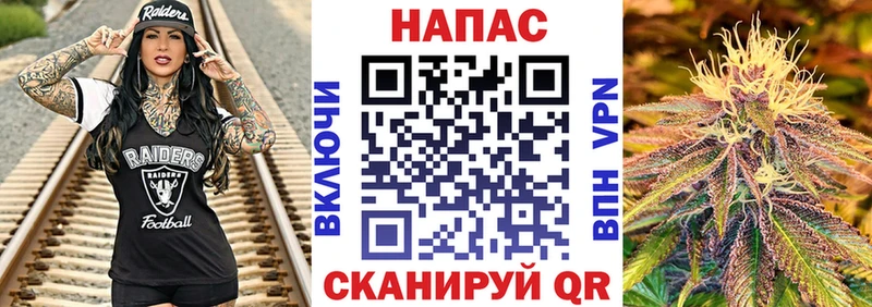 Бошки марихуана семена  купить наркоту  Белорецк 